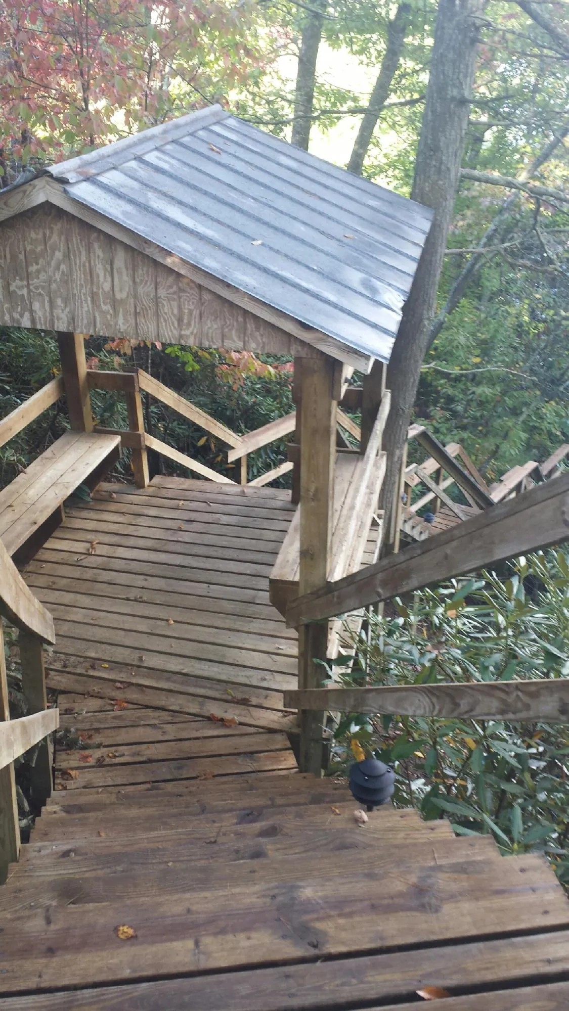 Metal roofed shelter over wooden steps on a wooded walkway — Skylight Repair & Installation work by our crew in Neville